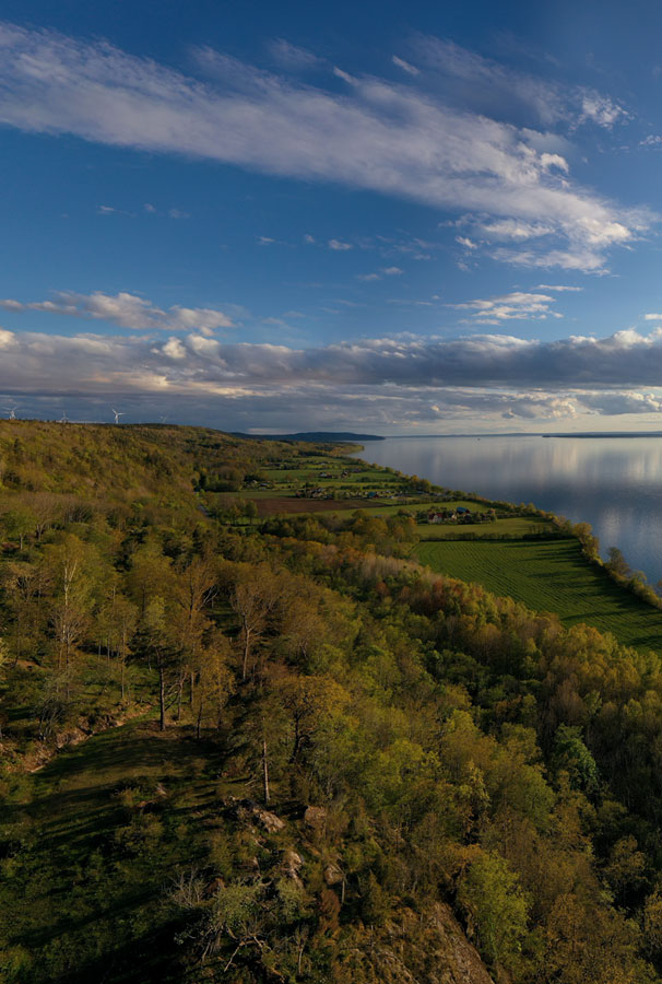 lake, woodland and windpark