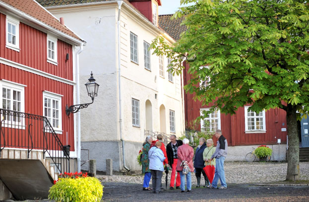 people gathered by a tree